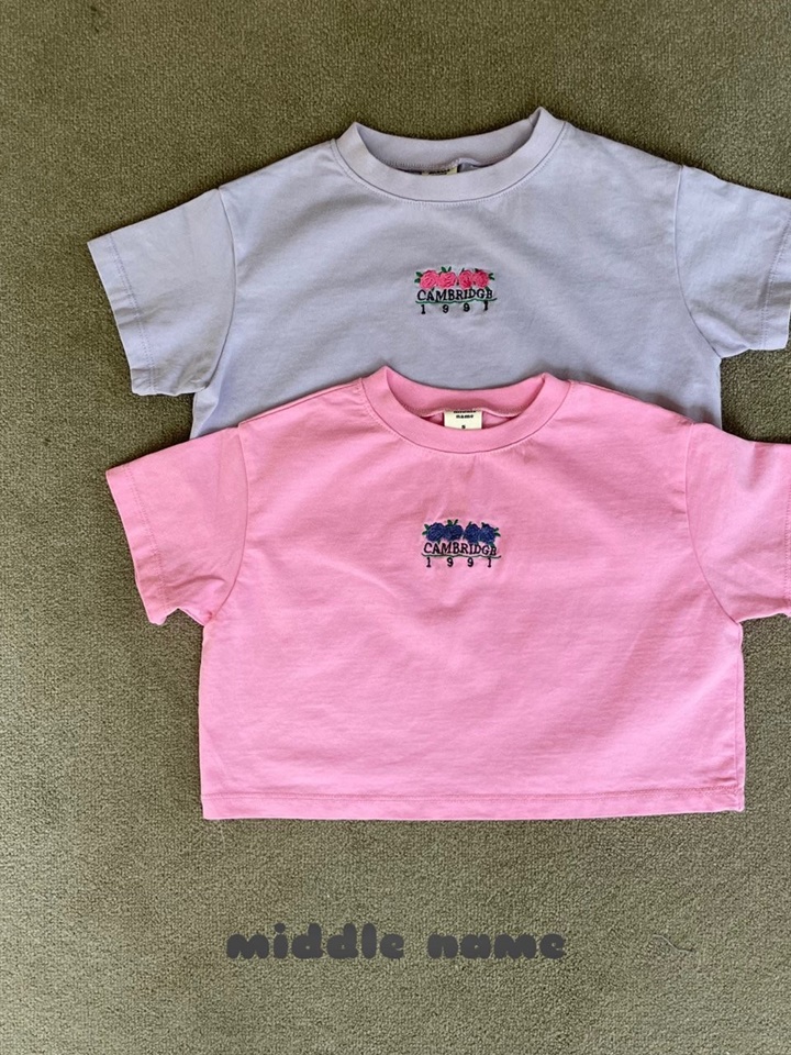 Crop Rose Embroidery Tee