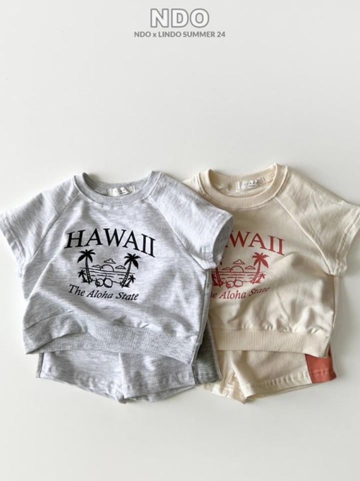 Hawaii Top Bottom Set