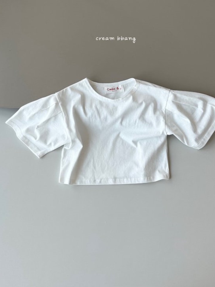 Sleeve Wrinkle Crop Tee