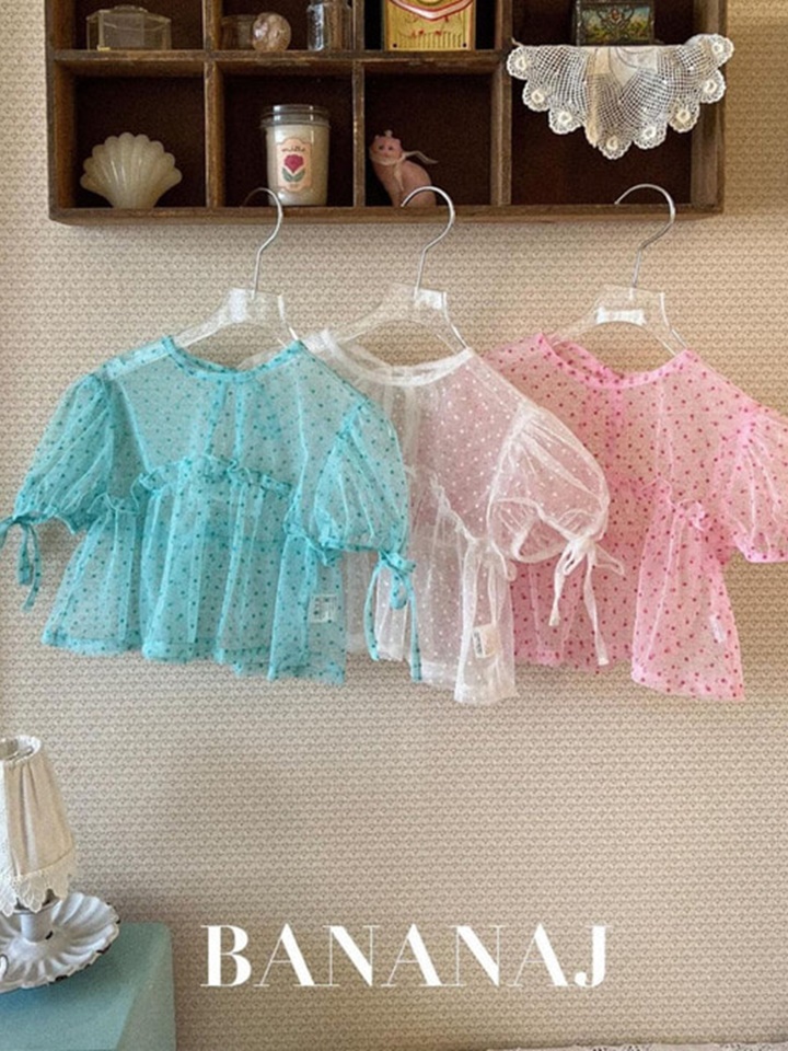 Angju Blouse