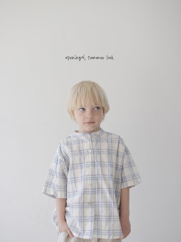 Lila Check Shirt