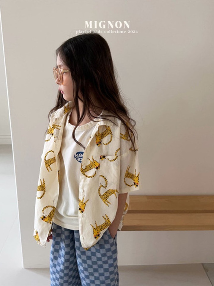 Celebrity Shirt