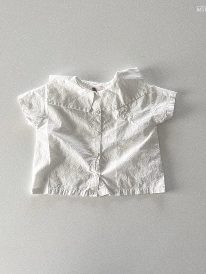 Pure Embroidery Blouse