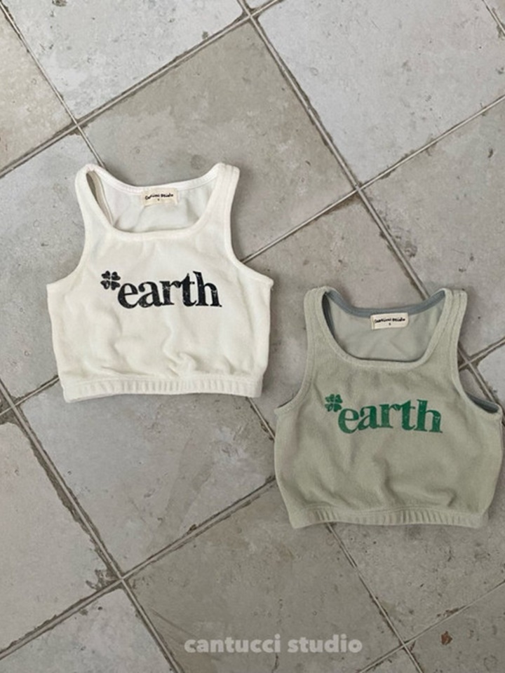 Earth Terry Crop Tee