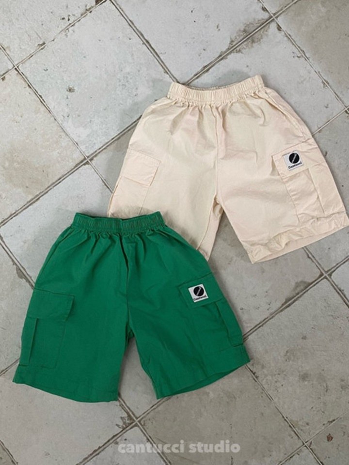 Twig Cropped Shorts