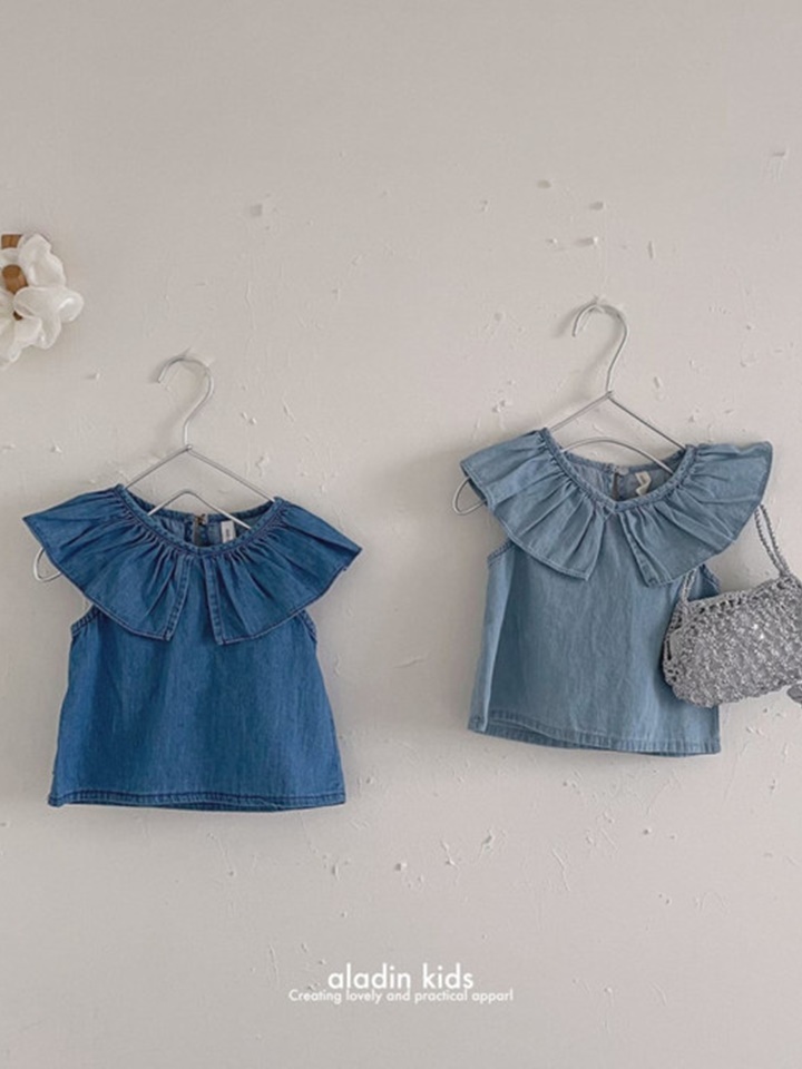 Big Collar Denim Blouse