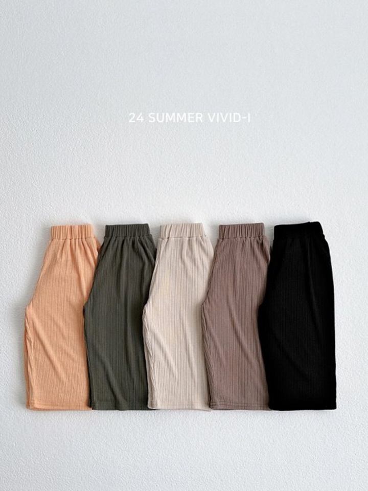 Vivid Pleats Wide Pants