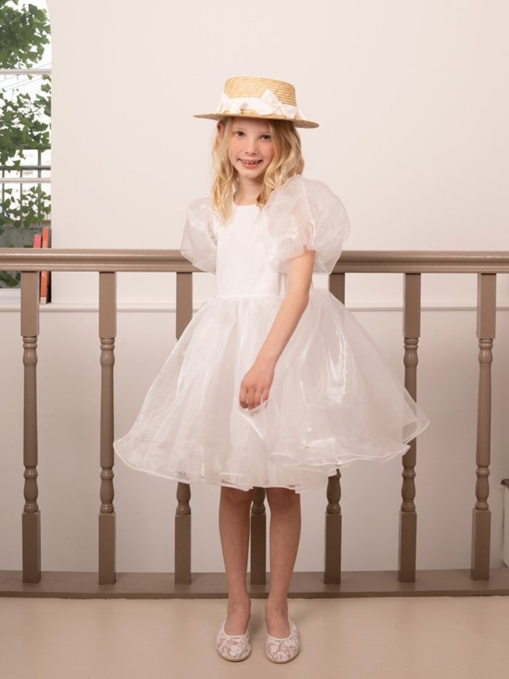 Organza Ribbon Dress