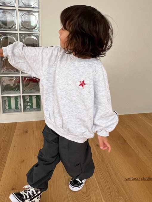 Star Embroidery Sweatshirts