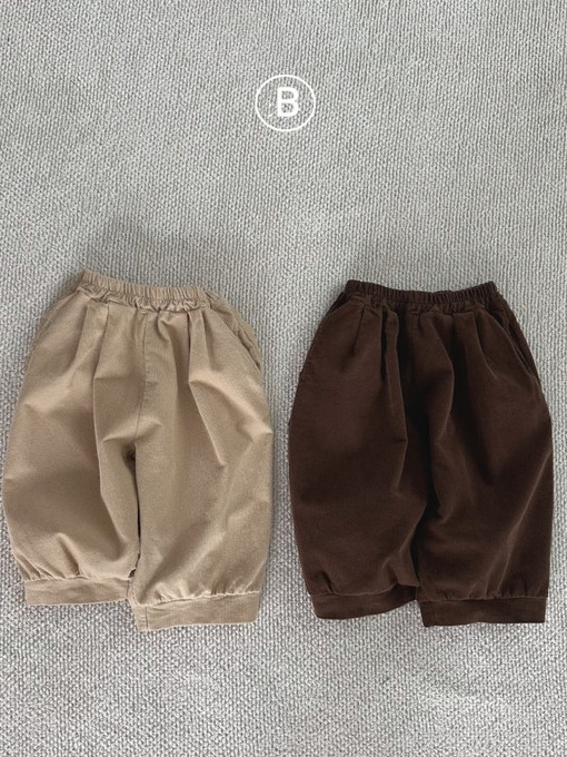 Ari Corduroy Pants