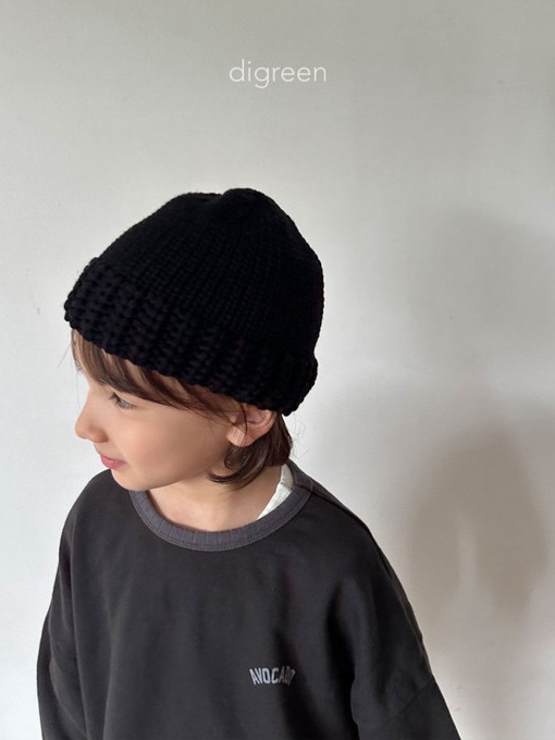 Acorn Beanie