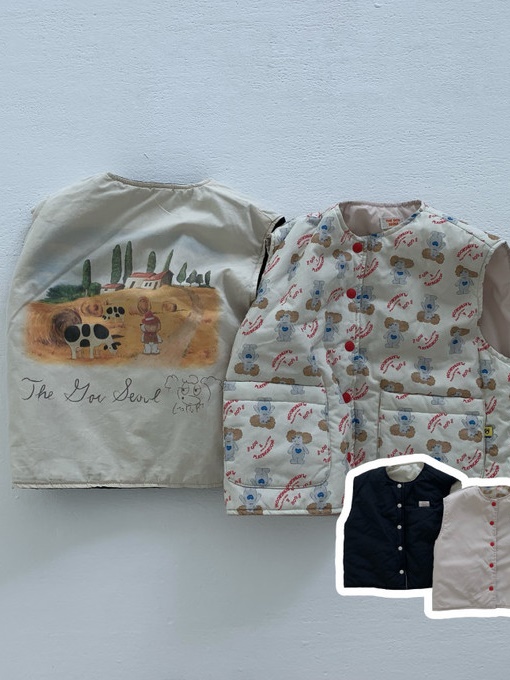 Go Dori Vest