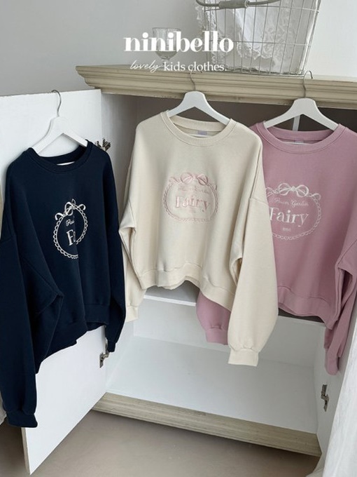 Adult Fairy Embroidery Sweatshirts