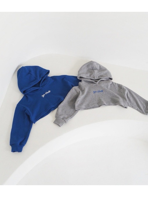 Loose Fit Crop Hoodie