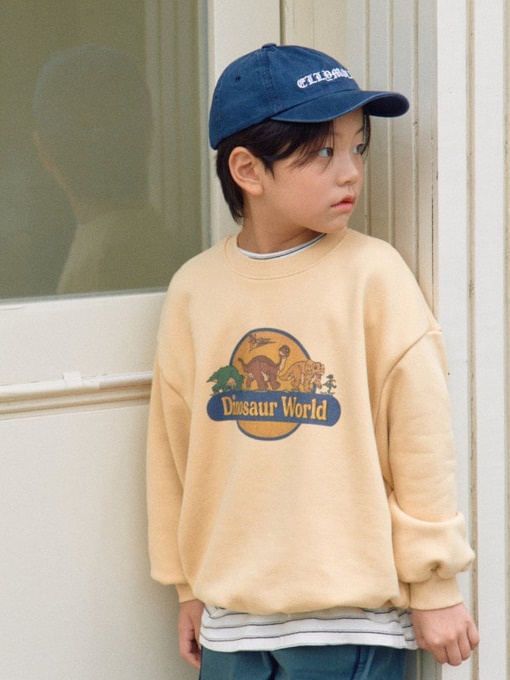 Dino Sweatshirts
