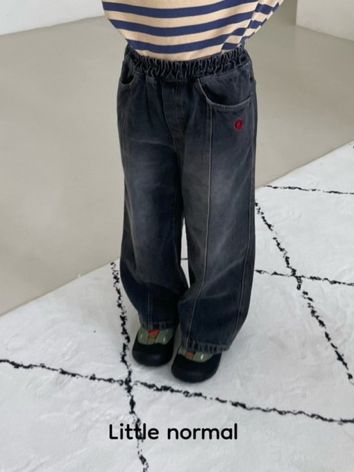 Normal Denim Pants