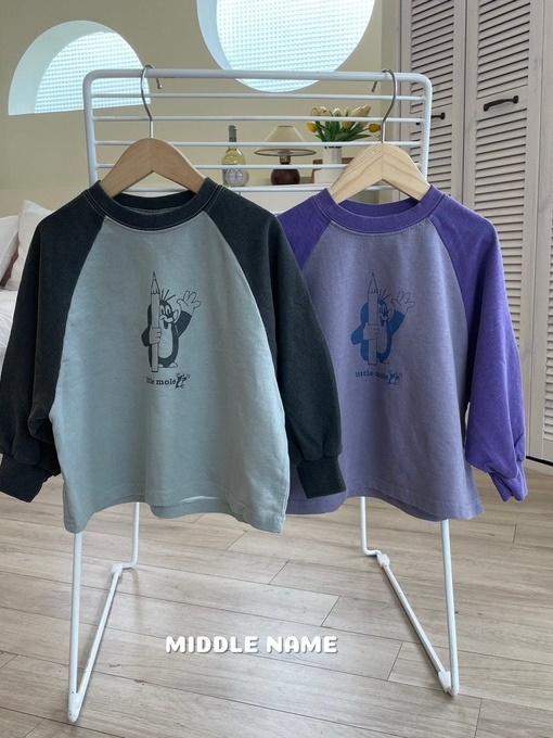 Pigment Raglan Tee