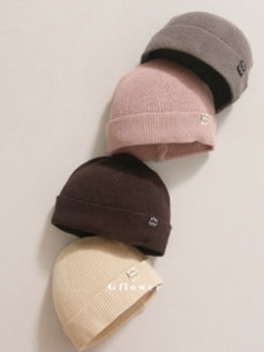 Fall Basic Beanie