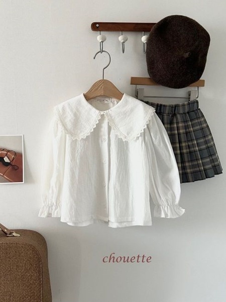 Mink Form Collar Blouse