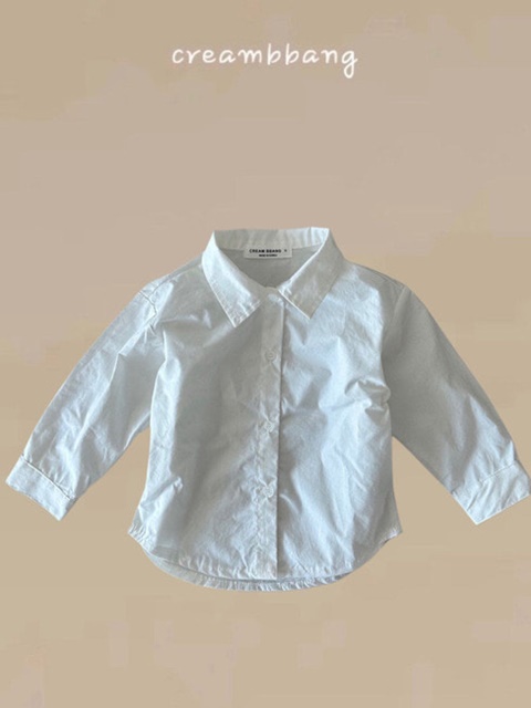 Basic Cotton Shirt
