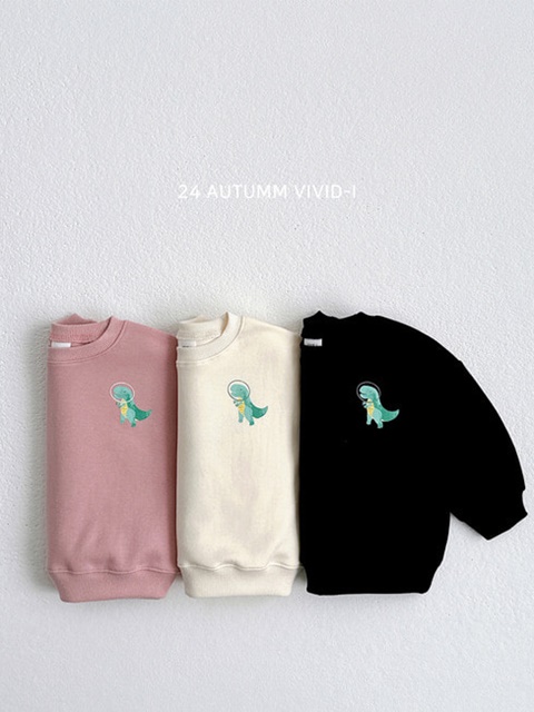 Space Dino Sweatshirts