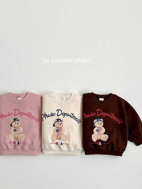USA Bear Sweatshirts