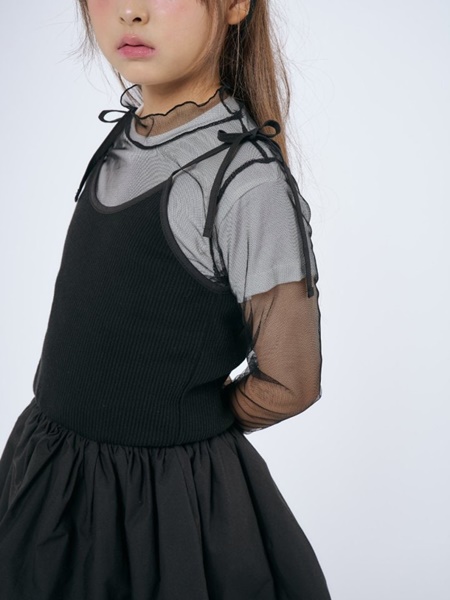 Mesh Turtleneck Top