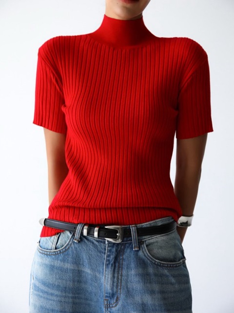 Classic Ribbed Half Turtleneck Knit Top