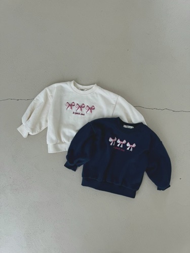 Ribbon Embroidery Sweatshirts