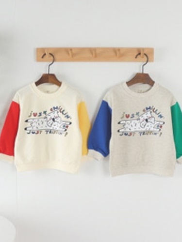 Schnauzer Sweatshirts