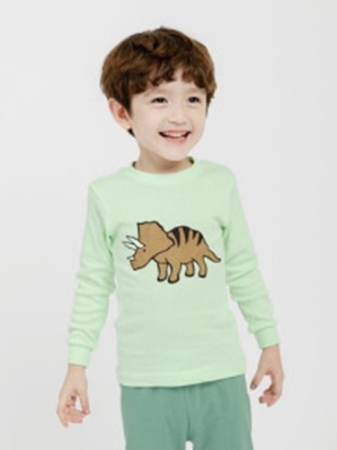 Big Dino Pajamas
