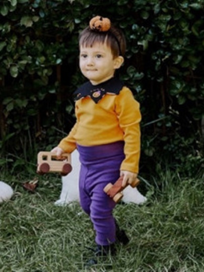 Pumpkin Set