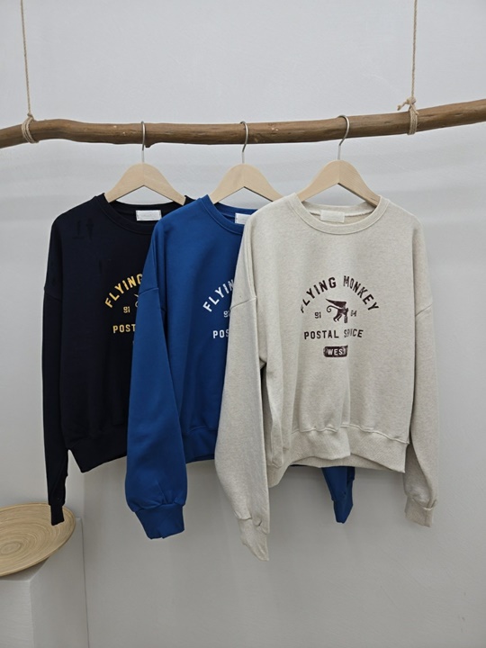 Flying Sweatshirts