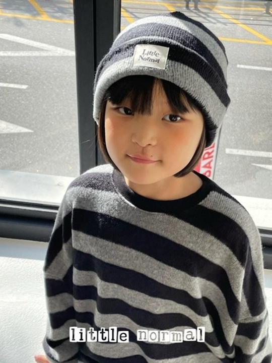 Stylish Beanie