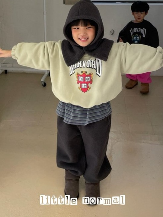 Harvard Sweatshirt