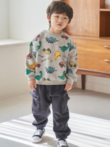 Dino Printed Sweatshirt