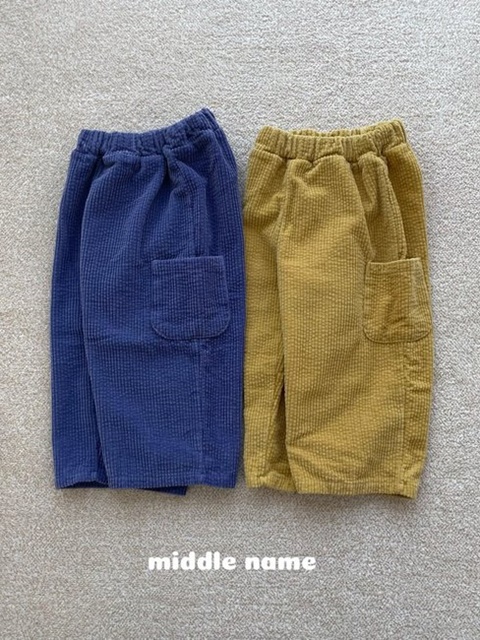 Brushed Corduroy Pants