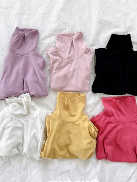 Silky Turtleneck