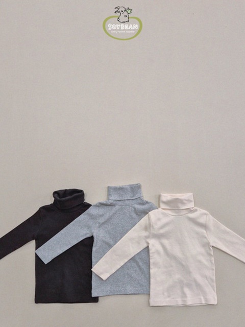 Inner Span Turtleneck