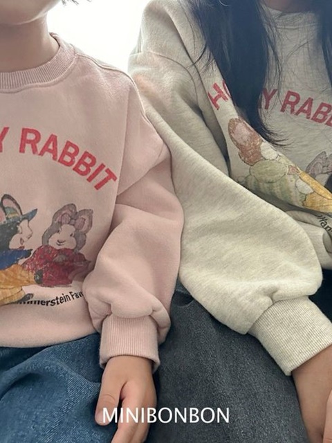 Rabbit Sweatshirt