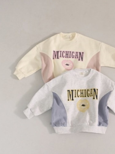 Michigan Colored Sweatshirts