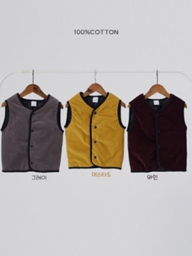 Reversible Vest