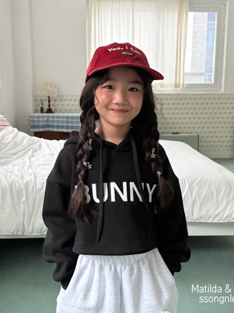 Bunny Crop Hood Top