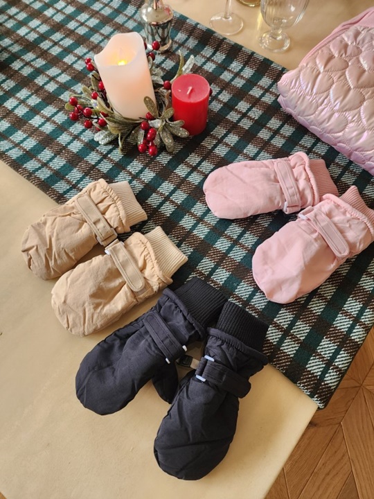 Ski Mittens