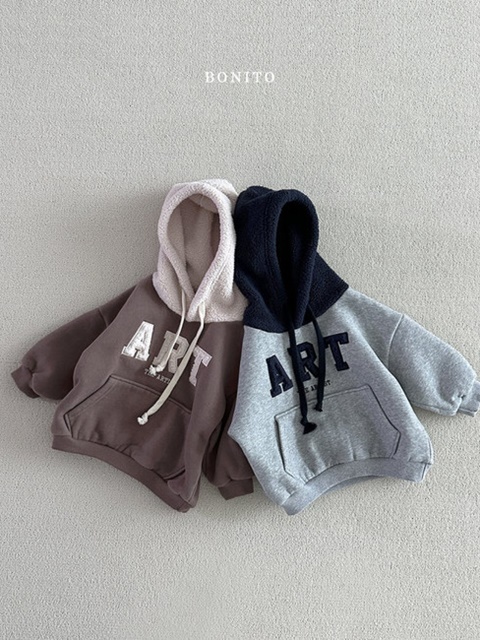 Art Raglan Dumble Hood Top