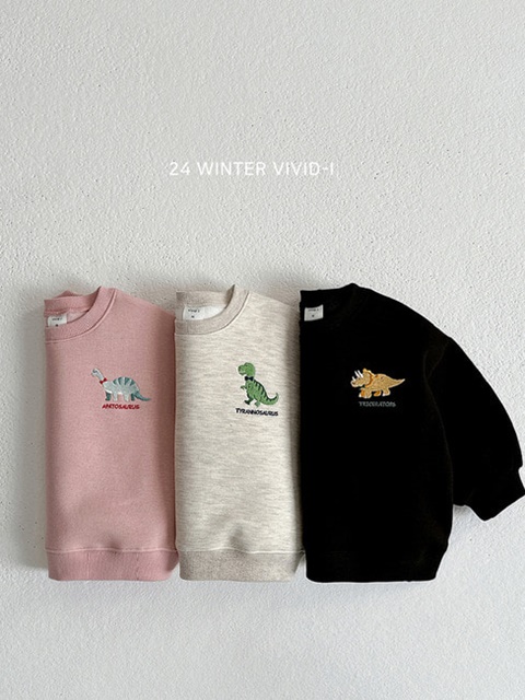 Jurassic Embroidery Sweatshirts