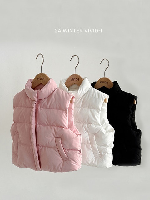 Winter Wellon Padded Vest