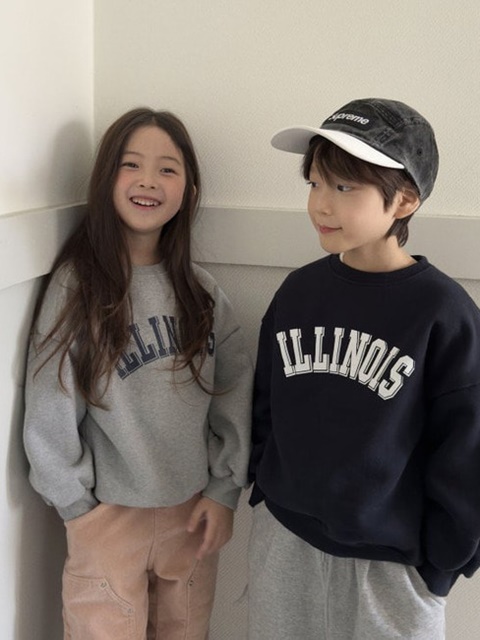 Illinois Sweatshirts