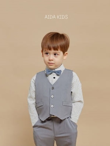 Ash Vest