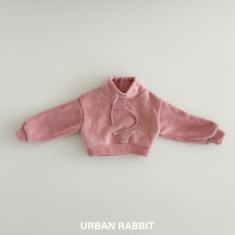 Urban Rabbit - Korean Children Fashion - #childrensboutique - Velvet Crop Sweatshirt - 3